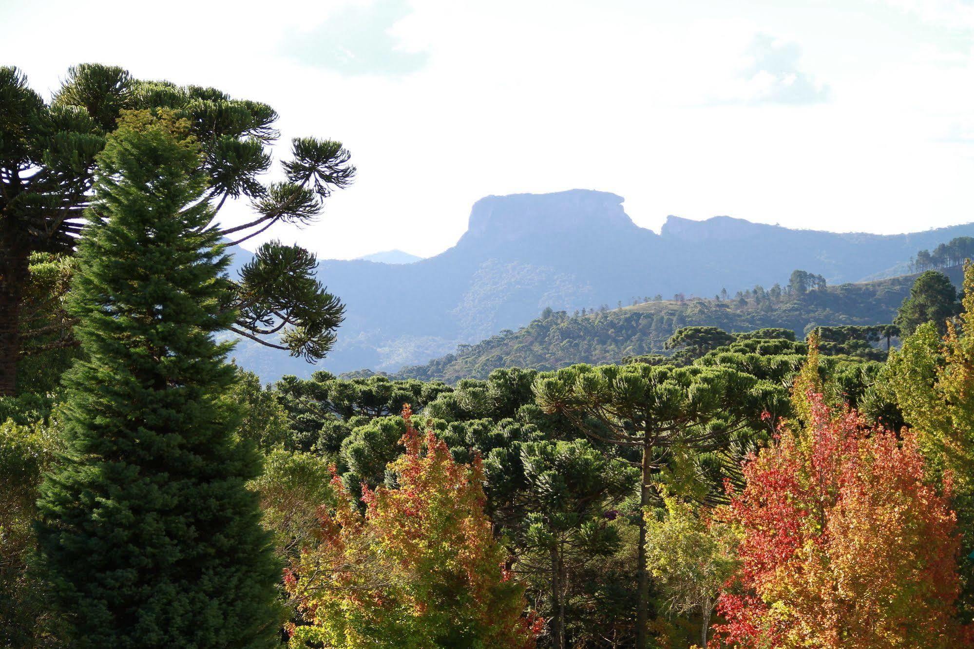 Hotel Vila Inglesa Campos do Jordao Dış mekan fotoğraf
